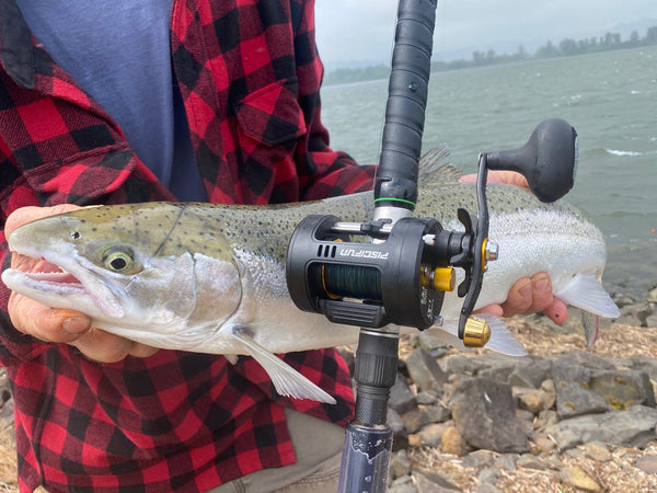 Chaos pro and steelhead