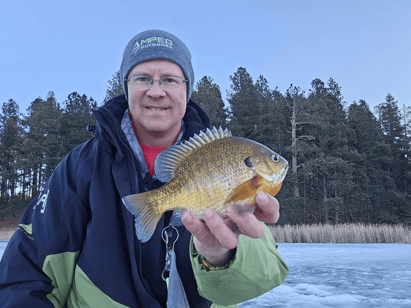 Scott Olson holds a panfish in front of the forest