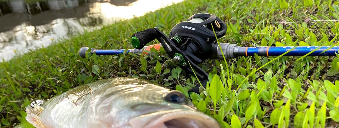 Piscifun Phantom Lightweight Baitcaster Reel | Piscifun