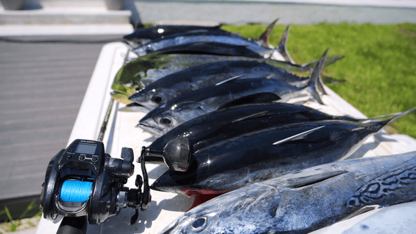 AtlantiX 1500 beside a bunch of fishes