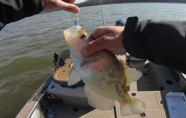 Crappie Fishing: How to Find, Catch & Enjoy More Crappie