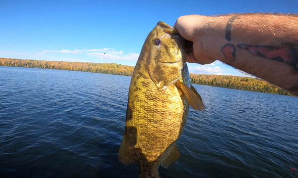 fall bass fishing