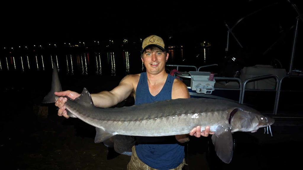 how to catch river sturgeon