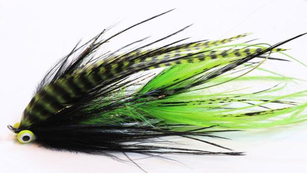 Fly fishing Great Lakes Salmon Success