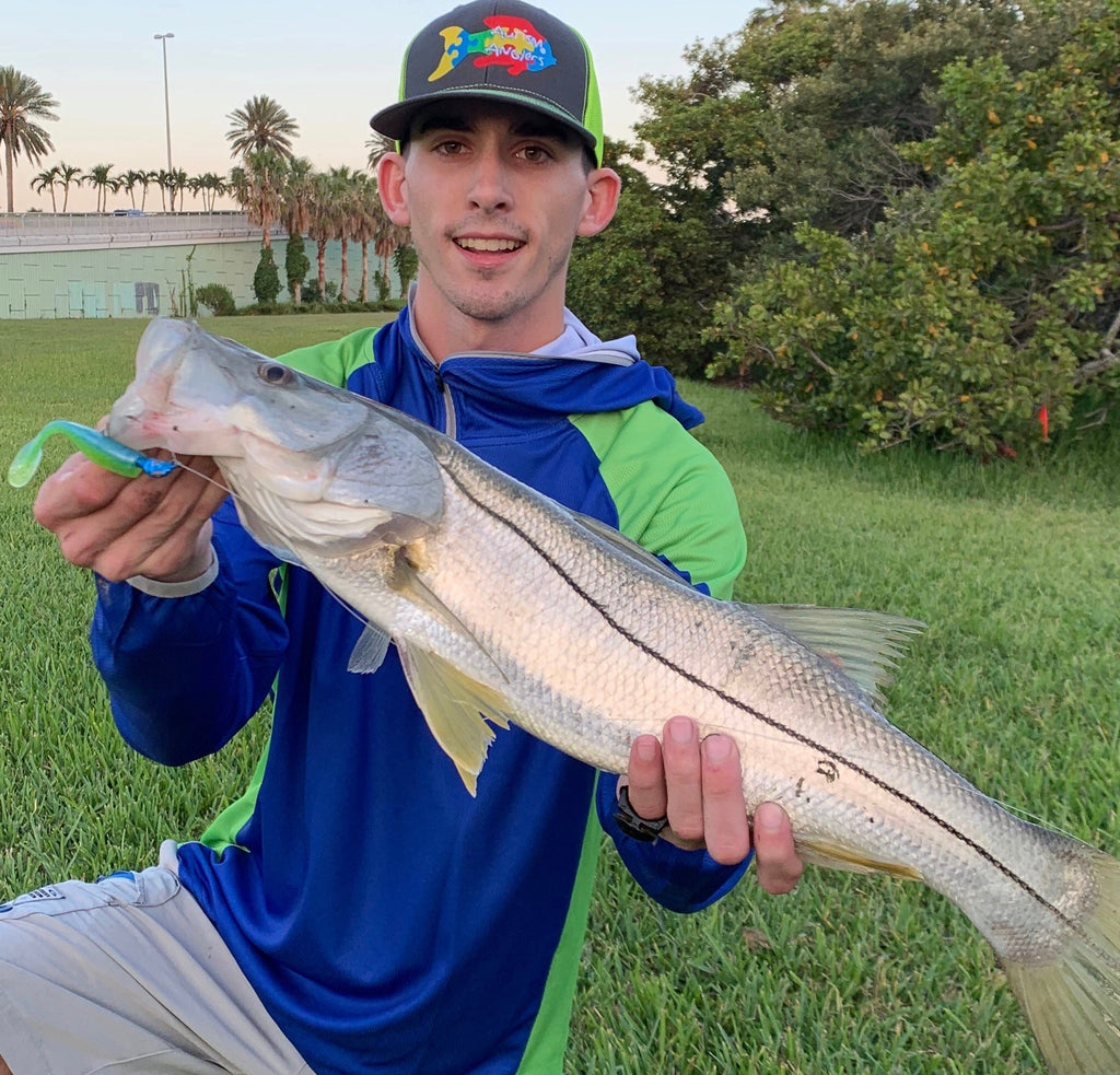 How to maximize your catch number when fishing for snook