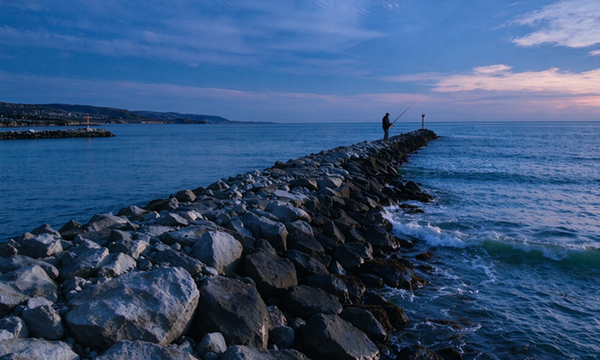 jetty fishing