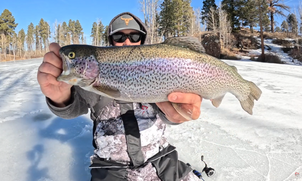 lake trout ice fishing