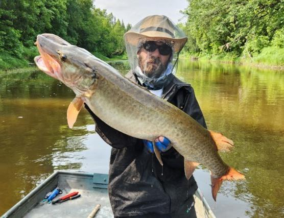 A man holds a muskie on his hands