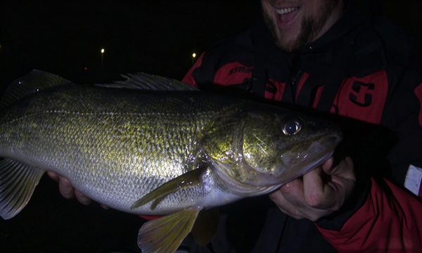 Night Fishing for Beginners: Fish, Baits, Gear and Safety Tips