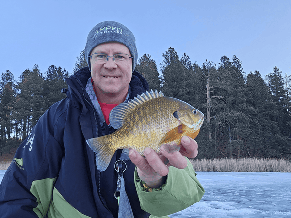 Spinning Reels,Baitcaster,Fishing Rods,Backpack | Piscifun®
