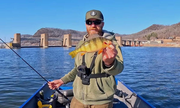 perch fishing