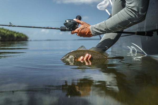 Alijoz Reel fishing scene