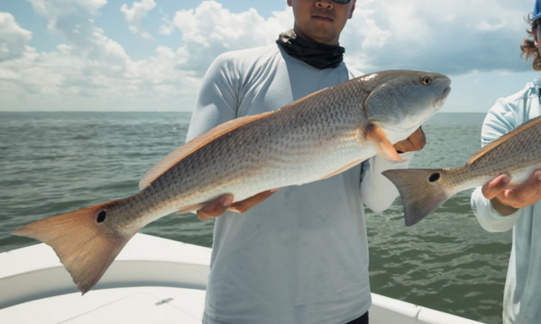 redfish fishing