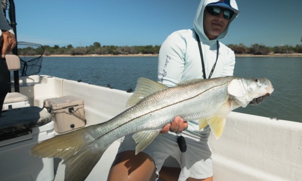 snook fishing