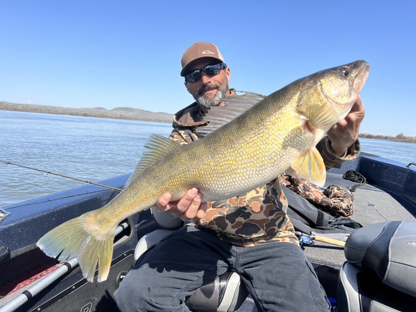 A man shows a huge walleye