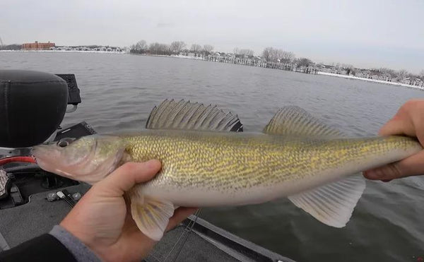 The Ultimate Guide to Walleye Fishing: Tips, Techniques & Tackle
