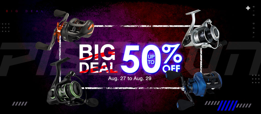 Big Discount