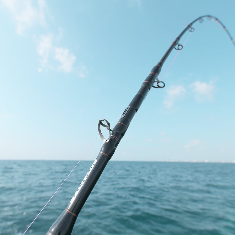 cheap saltwater fishing poles Heavy Trolling/ Deep Drop Rod Titan surge popping S8102Section L.L.Bean Saltwater Spinning Rod and