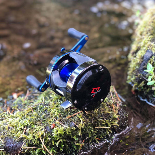 catfish baitcasting combos Chaos XS Round Catfish Rod and Reel Combo