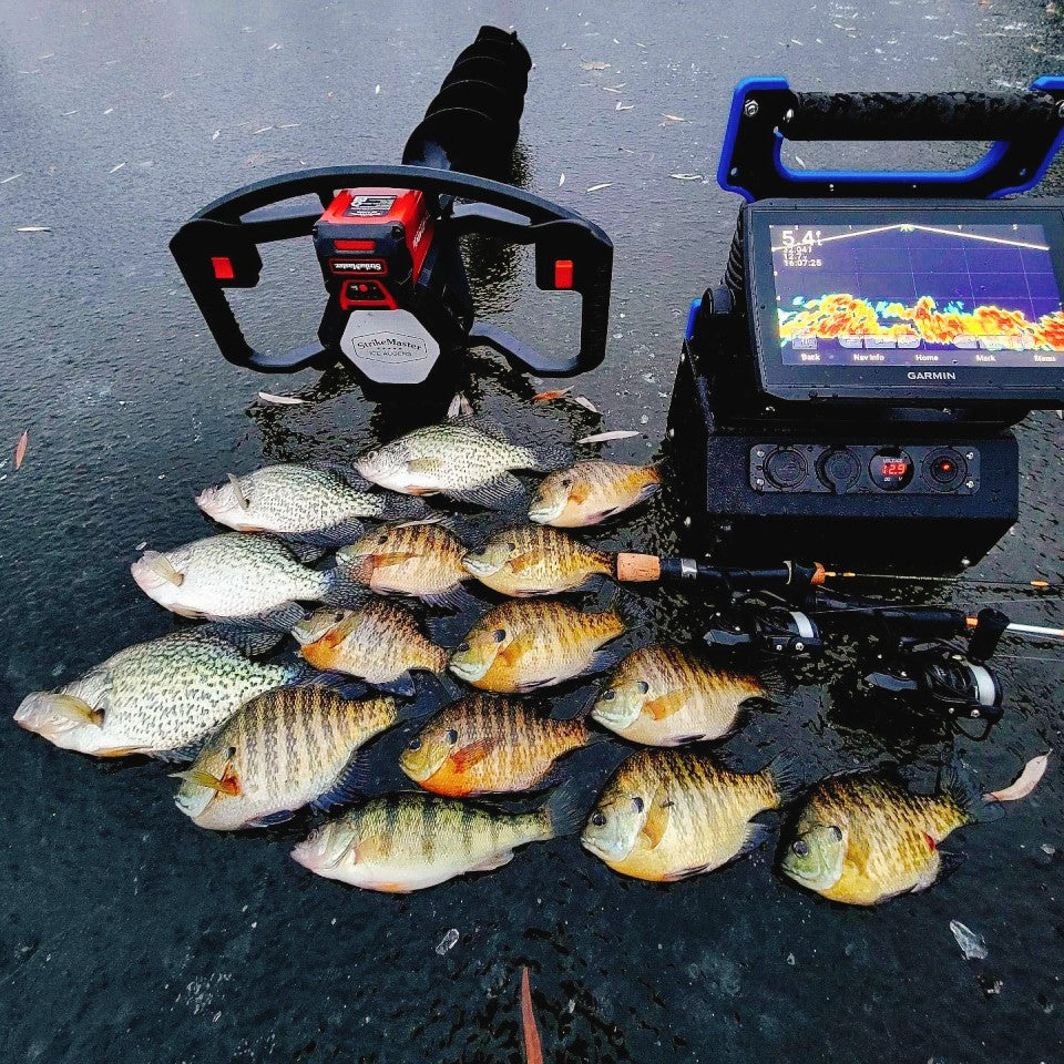 Hot Sale Reels Piscifun