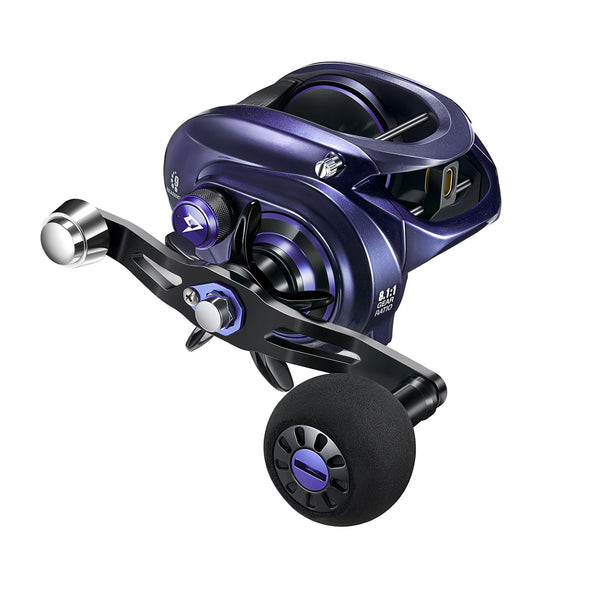 V,main,{8.1:1 Blue&Purple?Right Hand}