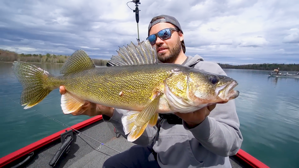 Carbon X Spinning Reel Ultralight Fishing Reels | Piscifun