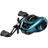 V,main,{Teal?Right Hand}