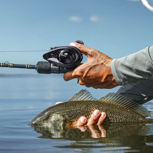 V, {Black?Left Hand}