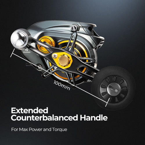 ax300 fishing reel Piscifun AlinoX 300 Low Profile Baitcasting Reel Casting Reels, 8.1:1 Grey & Gold / Right Hand Double Handle