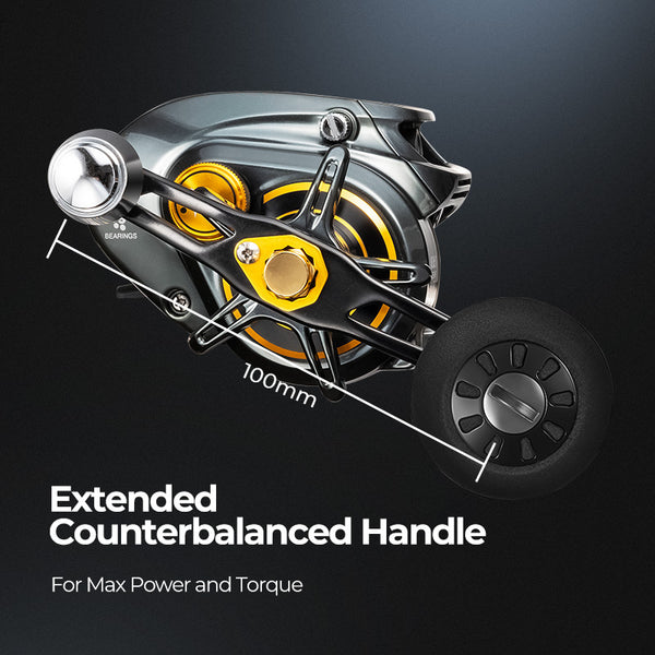 V,{8.1:1 Grey & Gold?Right Handle Counterbalance Handle},{8.1:1 Grey & Gold?Left Handle Counterbalance Handle}