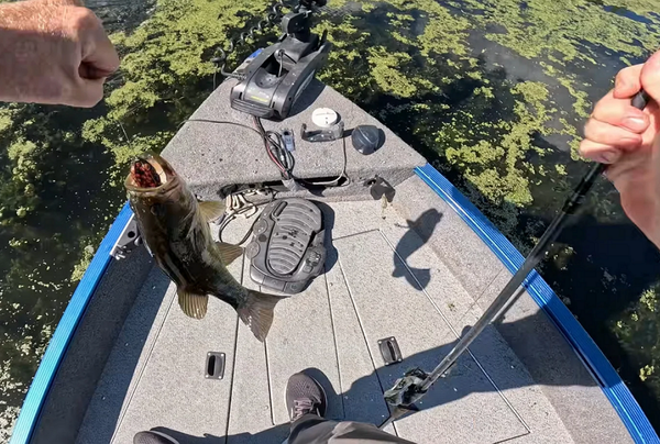 bass fishing
