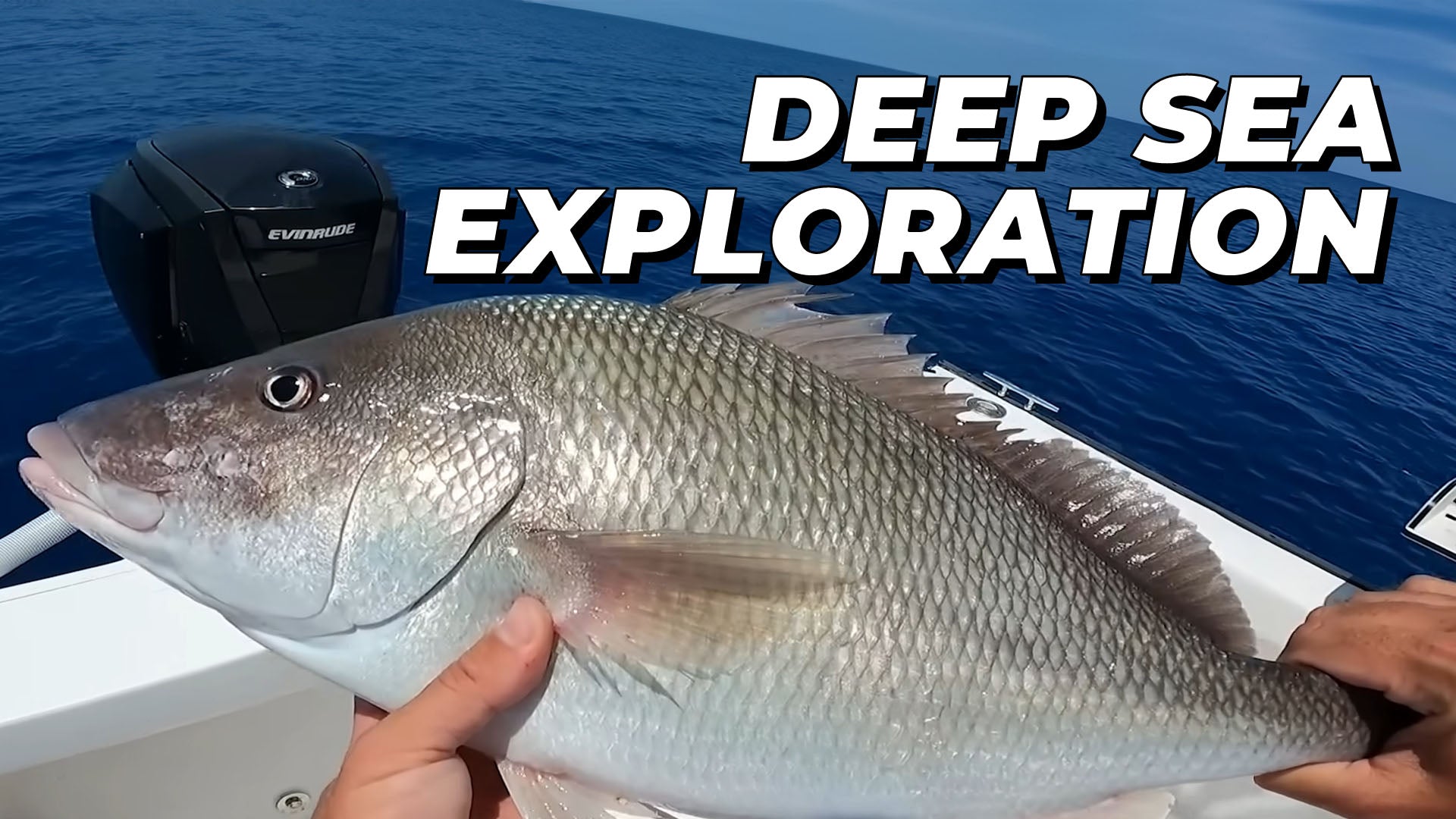 Piscifun Videos: Fishing Tips, Gear Demos & Product Insights