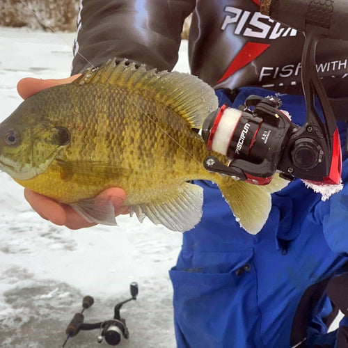 ICX 5 Ice Fishing Reel with Quick Folding Handle ICX 5 Ice Fishing Reel with Quick Folding Handle
